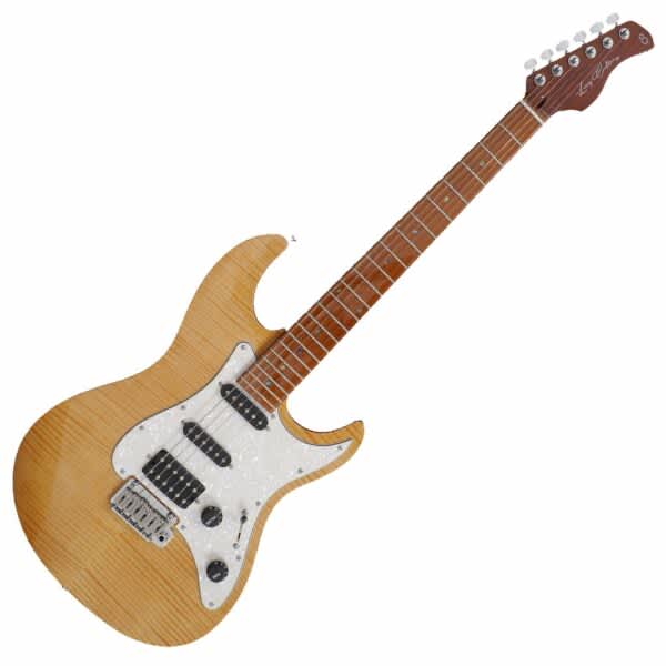 Larry carlton deals stratocaster